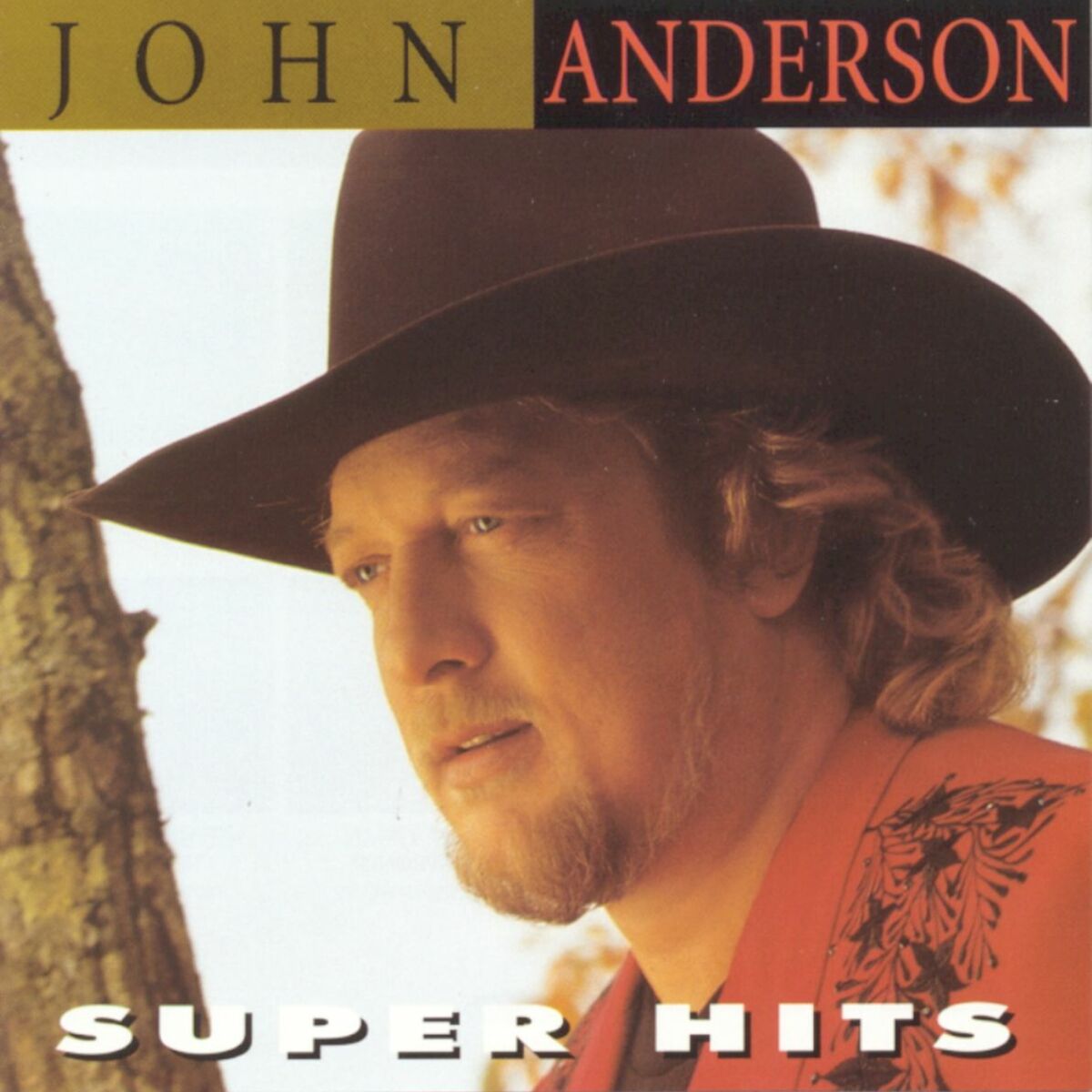 John Anderson - Swingin': listen with lyrics | Deezer