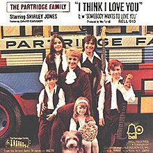 I Think I Love You - Wikipedia