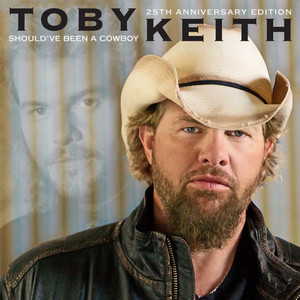 I Can't Take You Anywhere - song and lyrics by Toby Keith | Spotify